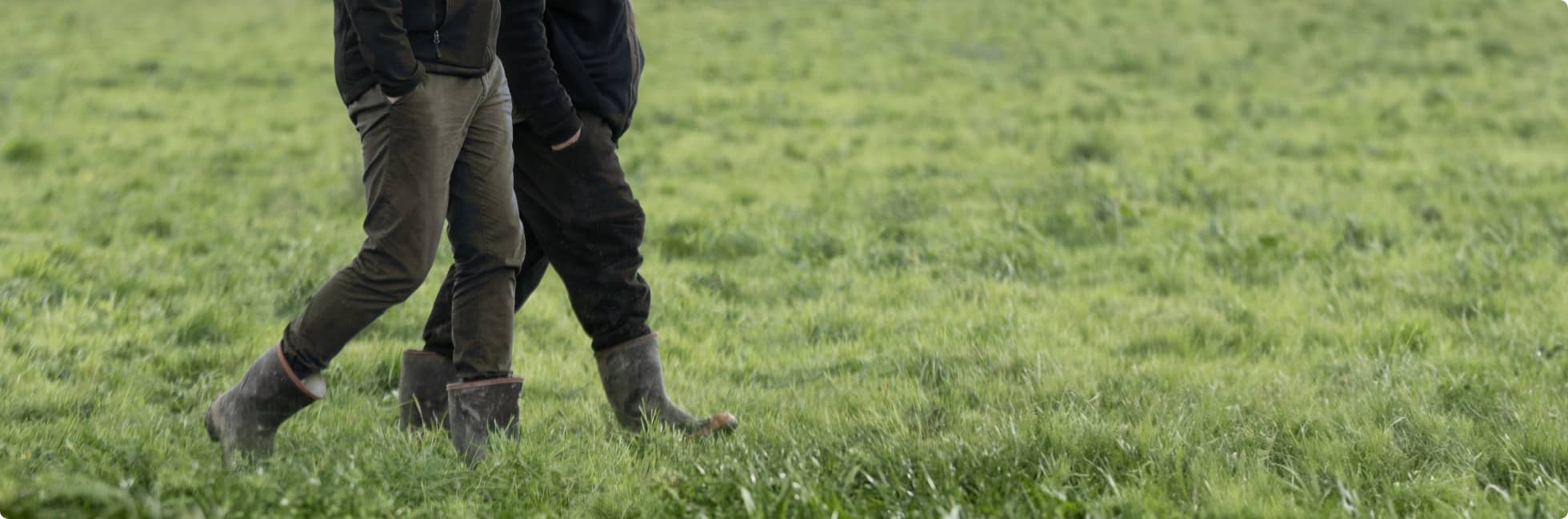 Growing closer | Cropmark Seeds