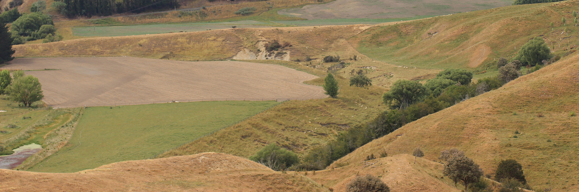 Case study – Bayden Anderson, Hawke’s Bay – Stampede CM142