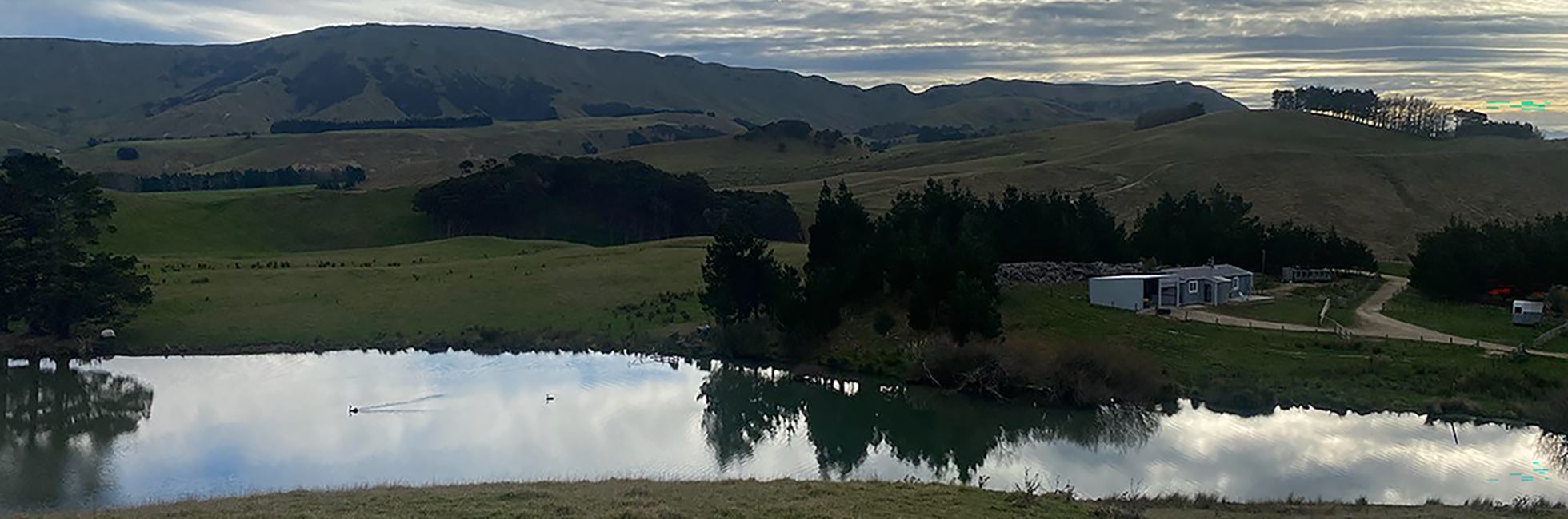 Case study – Michael Gunn, Waipukurau – Stampede CM142