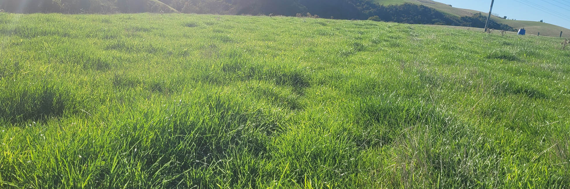 Case study – Ben Heslop, South Otago – Stampede CM142